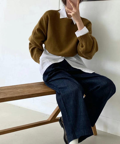 WS2023DEC007 (Camel)