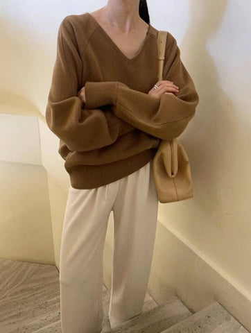 WS2023DEC134 (Camel)