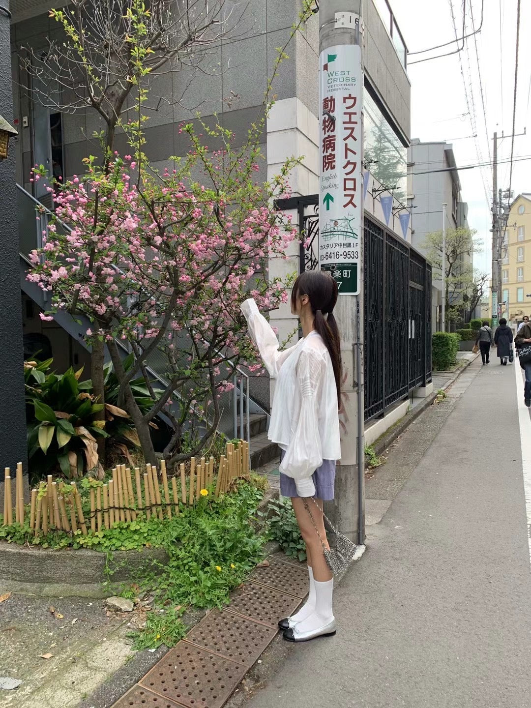 WS2024MAR220