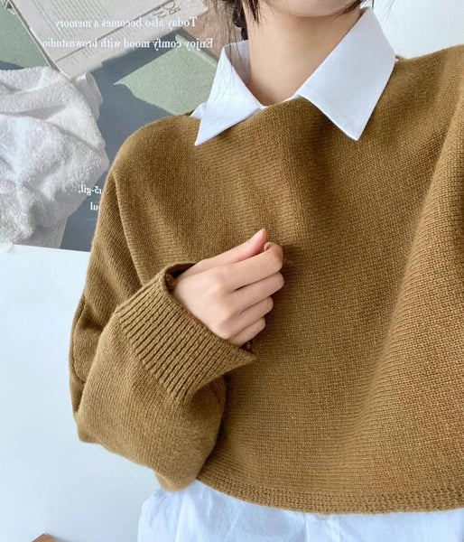 WS2023DEC007 (Camel)