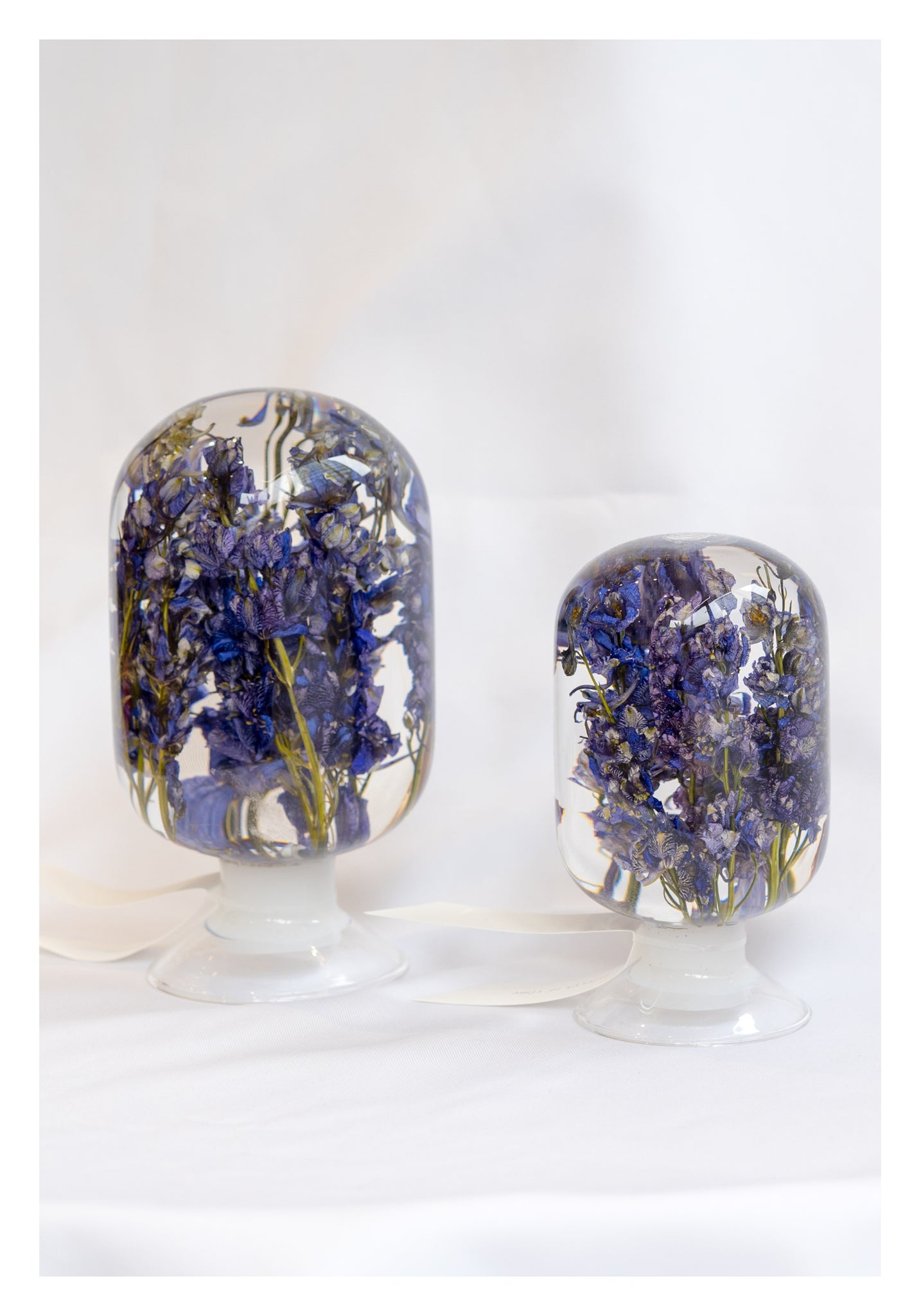 Pieces Of Time - Blue Delphinium - whoami