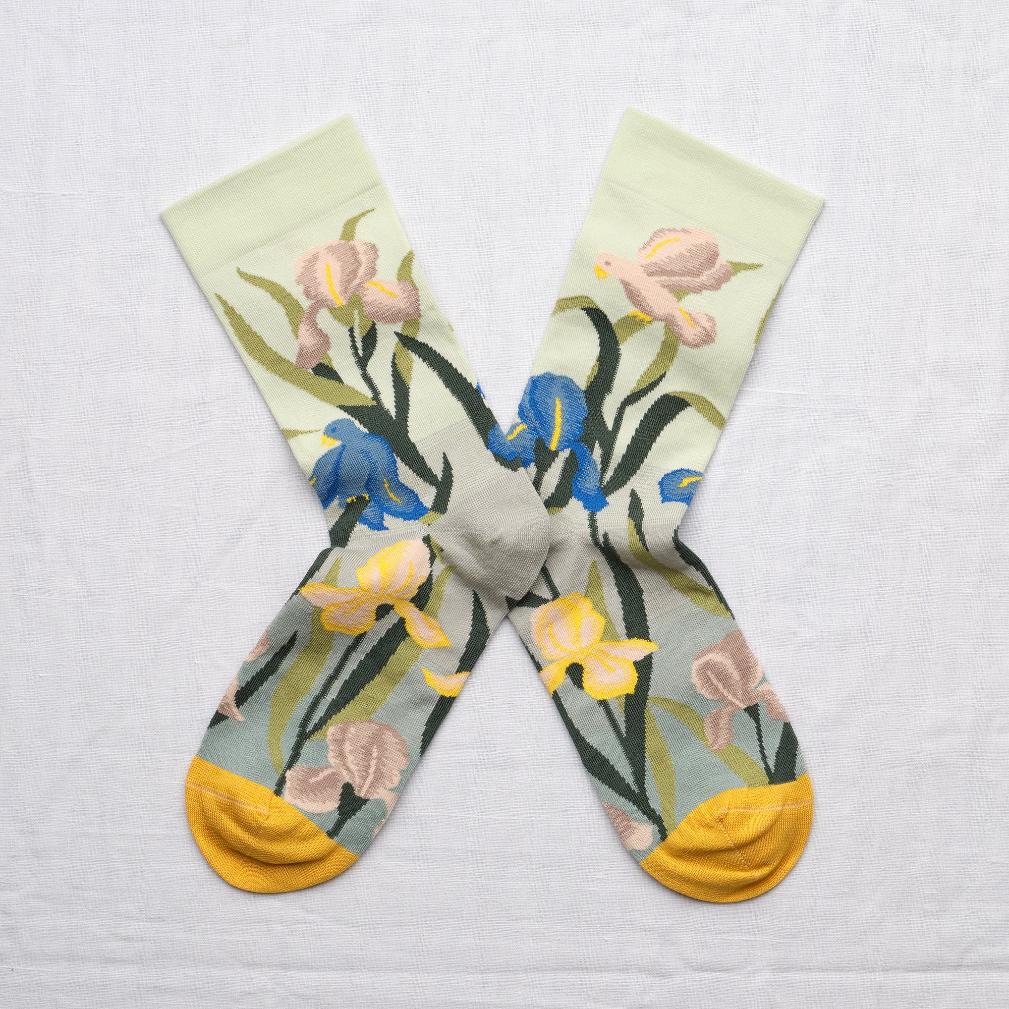 Lucioles Iris Socks Bud