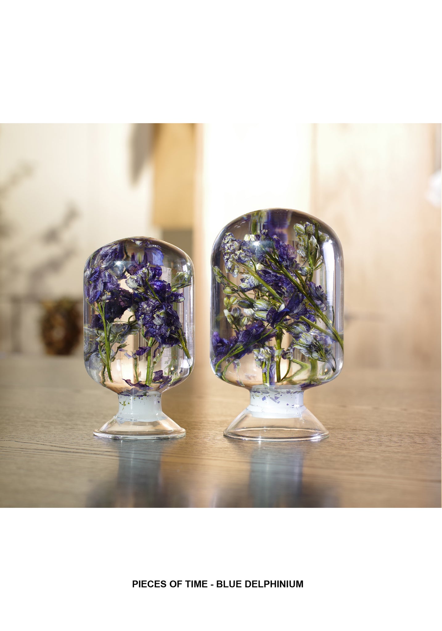 Pieces Of Time - Blue Delphinium - whoami