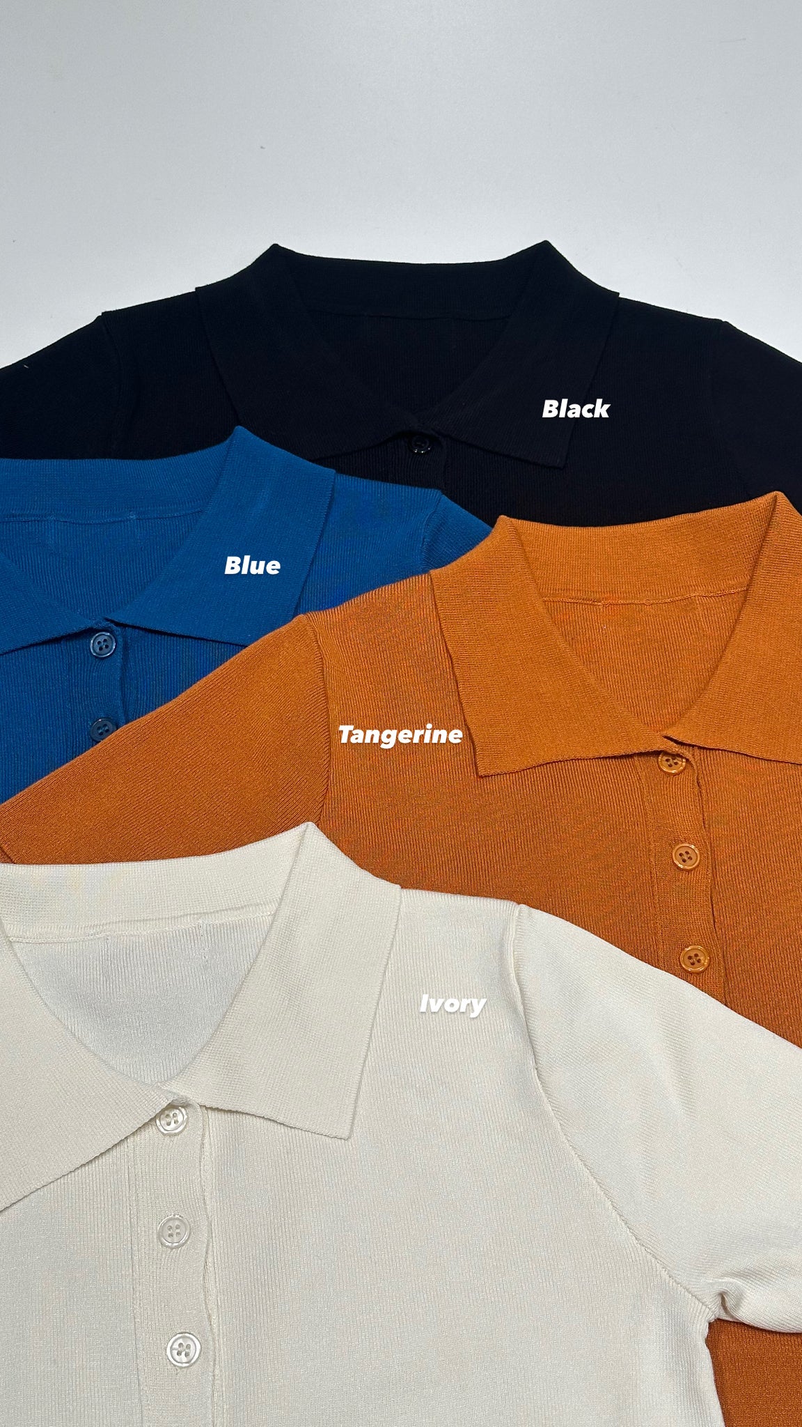 Colour Polo Knit Top
