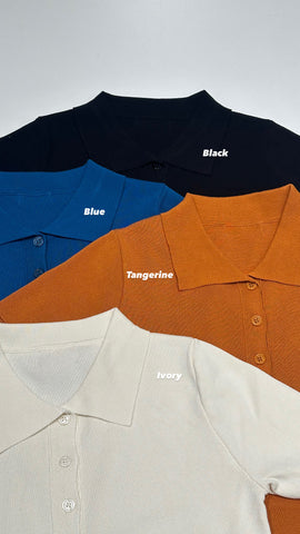 Colour Polo Knit Top (1-5Apr$268, 之後批發價$298）