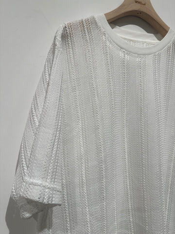 See Through Crew Neck Knit Top