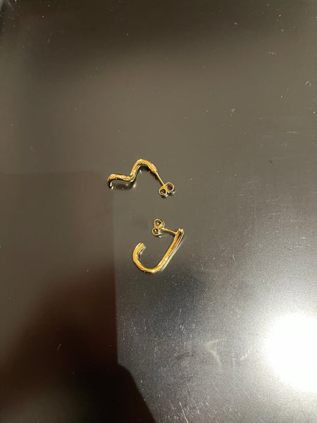 WS2023NOV211 (Earrings - Gold)