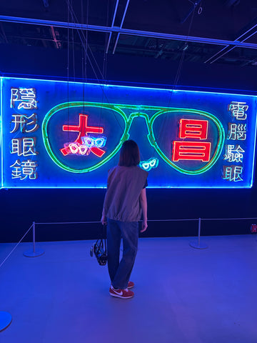 Parka Puff Zip Up Vest