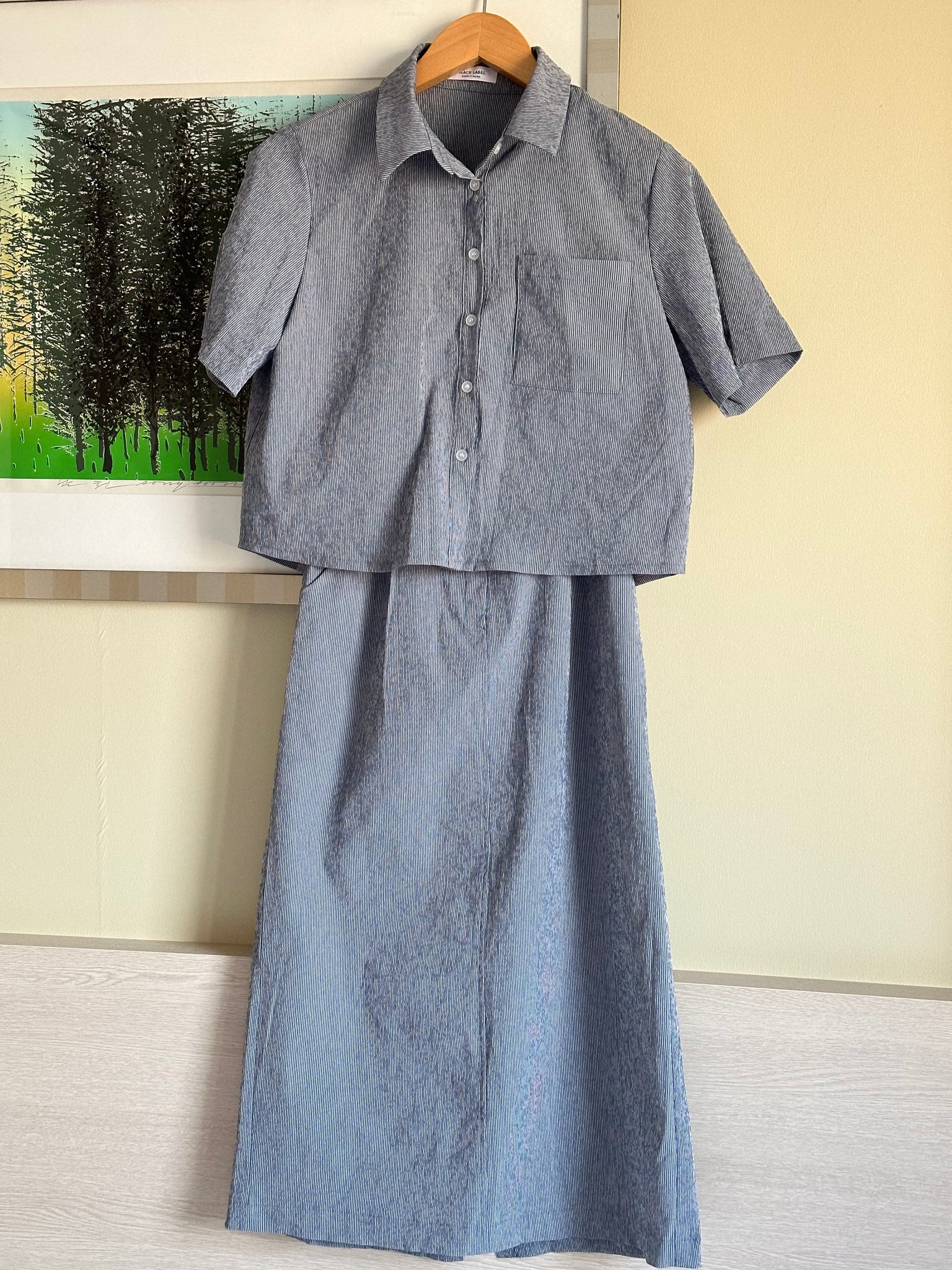 skirt set