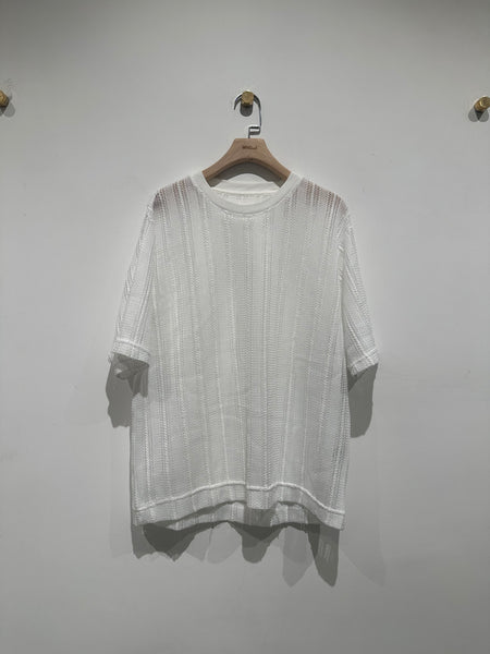 See Through Crew Neck Knit Top