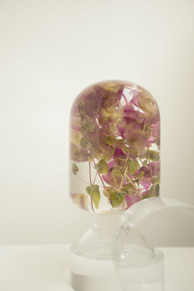 Pieces Of Time - Oregano Flower - whoami